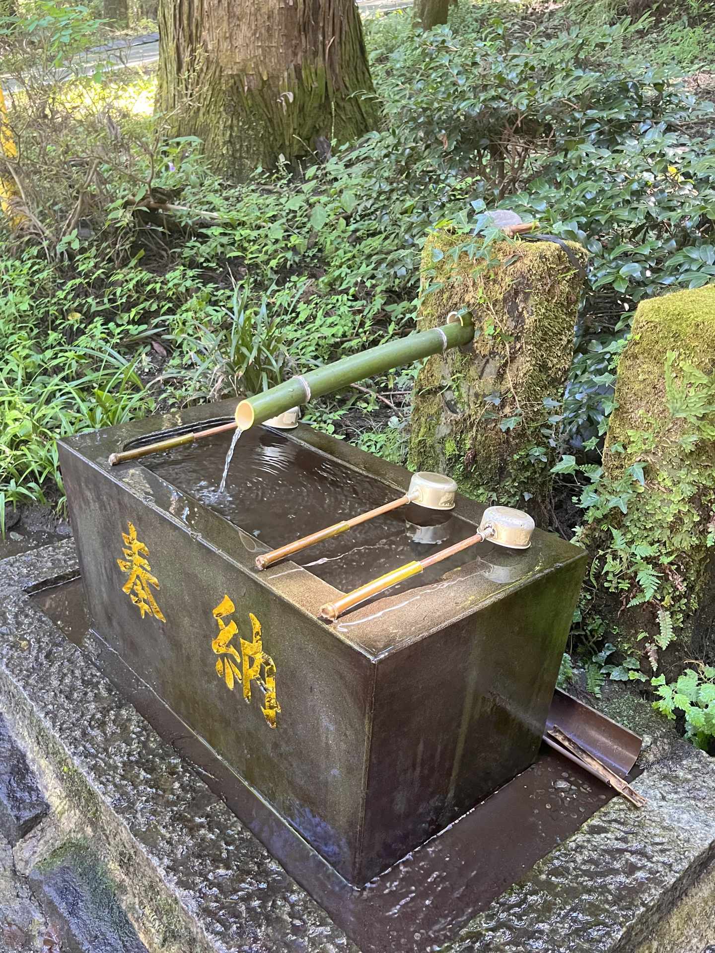 御朱印